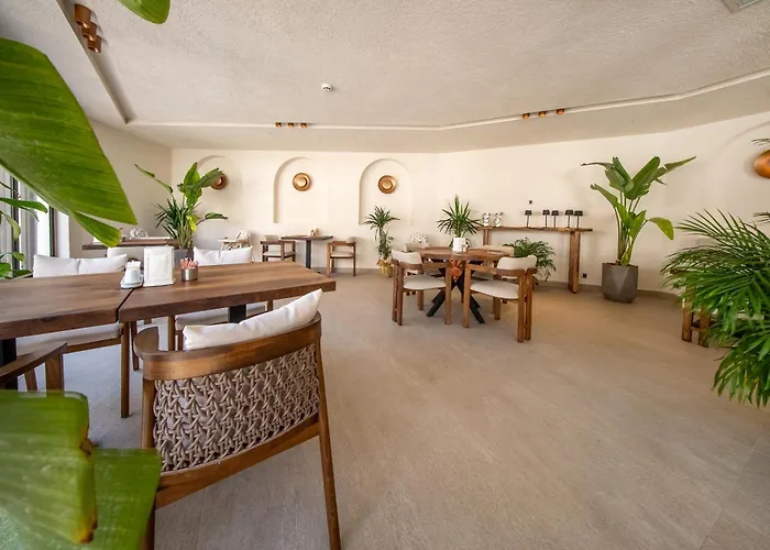 Prive & - Adults Only 16