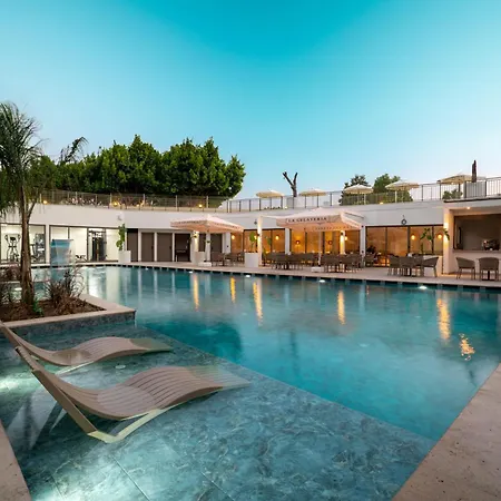 Prive & - Adults Only 16 シダ